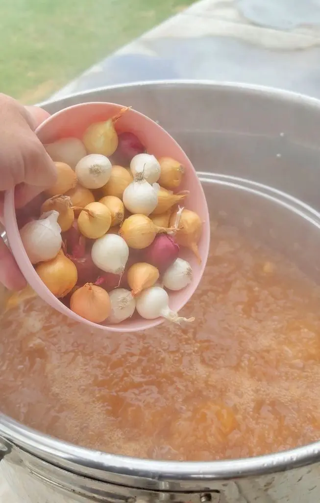 A hand pours a bowl of small onions into a large pot of boiling liquid outdoors, preparing ingredients for cooking.