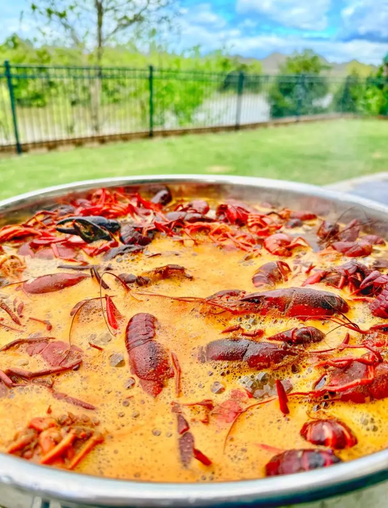 A large pot filled with boiling crawfish in spicy broth is outdoors, capturing the essence of a classic crawfish boil on a bright, sunny day, with a green lawn, trees, and a black fence in the background.