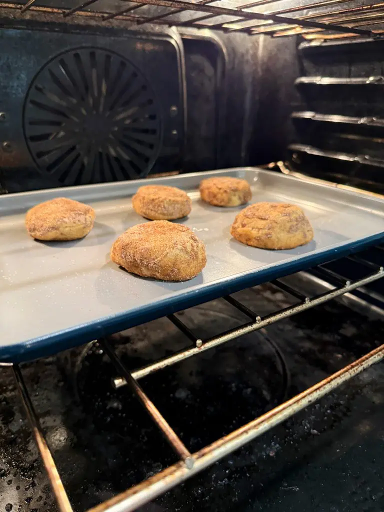 Five unbaked, round cinnamon roll breakfast bombs coated in cinnamon sugar are spaced out on a baking sheet inside an oven, with the oven racks and fan visible in the background.