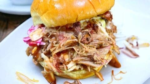 A delicious pulled pork sandwich sits on a white plate, topped with coleslaw and a glossy brioche bun. Tasty barbecue sauce drips from the sides, with a splash artfully decorating the plate.