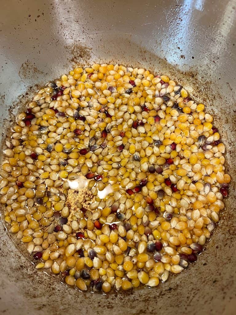 A close-up of colorful popcorn kernels, including yellow, red, and purple varieties, heating in oil at the bottom of a metal pot. The oil is starting to bubble slightly, and the kernels are unpopped.