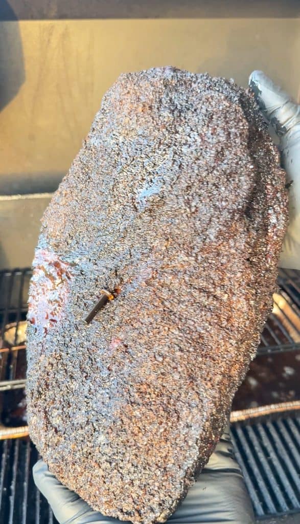 A gloved hand holds a large, seasoned brisket over a grill grate. The meat is covered in a dark, textured spice rub, and a metal temperature probe is inserted into its center.