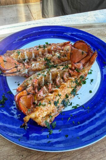 Two grilled lobster tails, garnished with chopped herbs, are served on a large blue and white plate atop a wooden surface.
