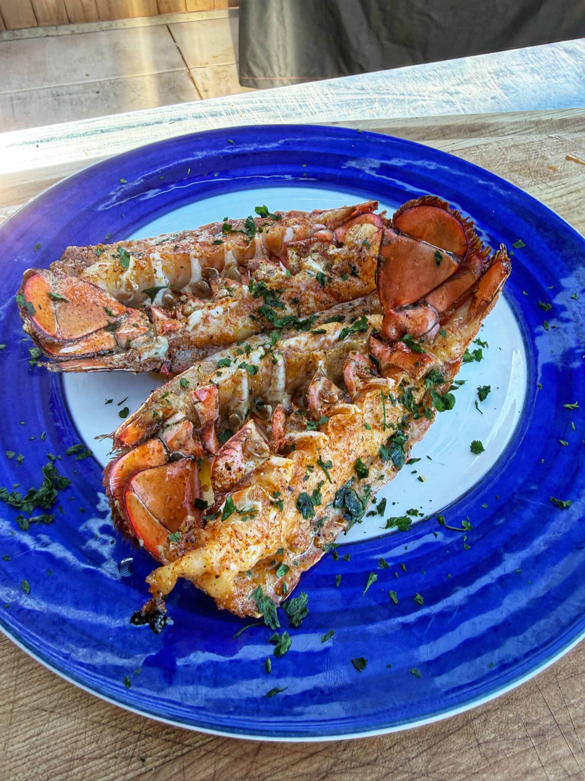 Two grilled lobster tails, garnished with chopped herbs, are served on a large blue and white plate atop a wooden surface.