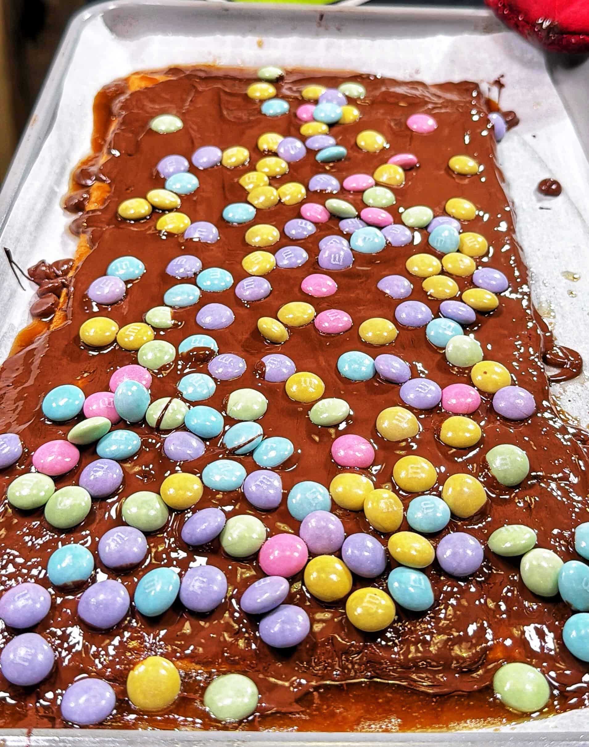 A sheet of homemade chocolate bark topped with colorful pastel candy-coated chocolates, spread unevenly on a baking tray.